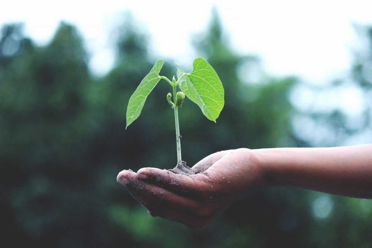 Agrochemical distribution and warehouse operations
