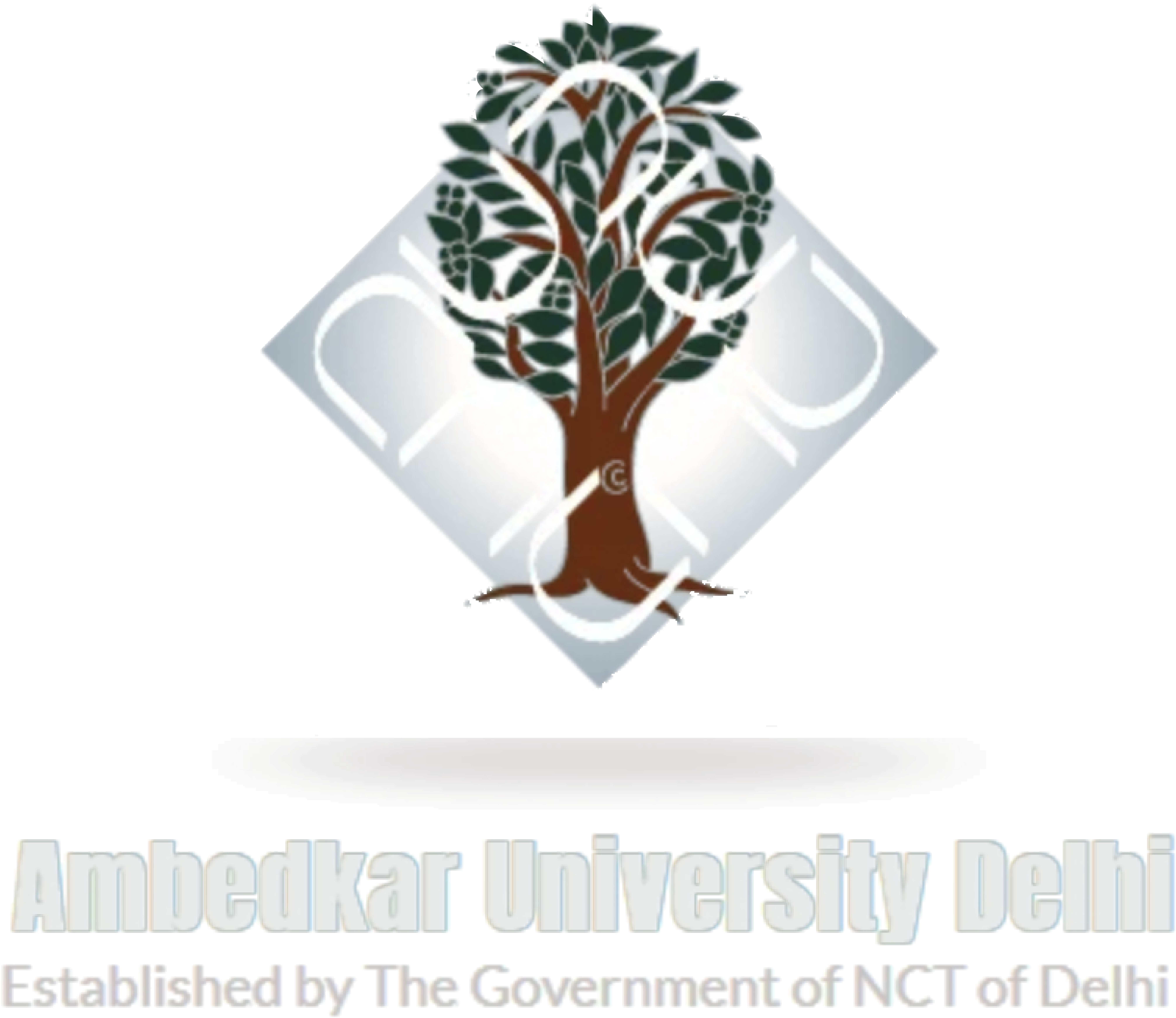 Dr. B.R. Ambedkar University logo